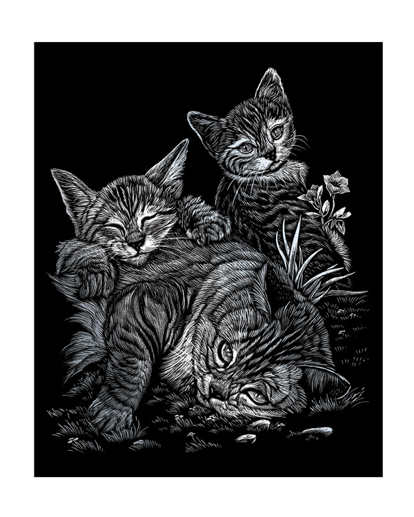 Skrapkonst Kattungar