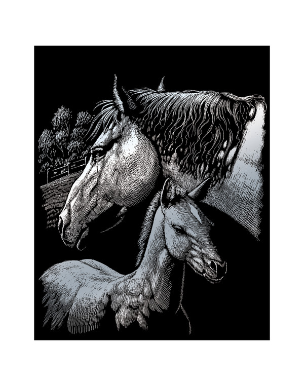 Scratch Art Heste