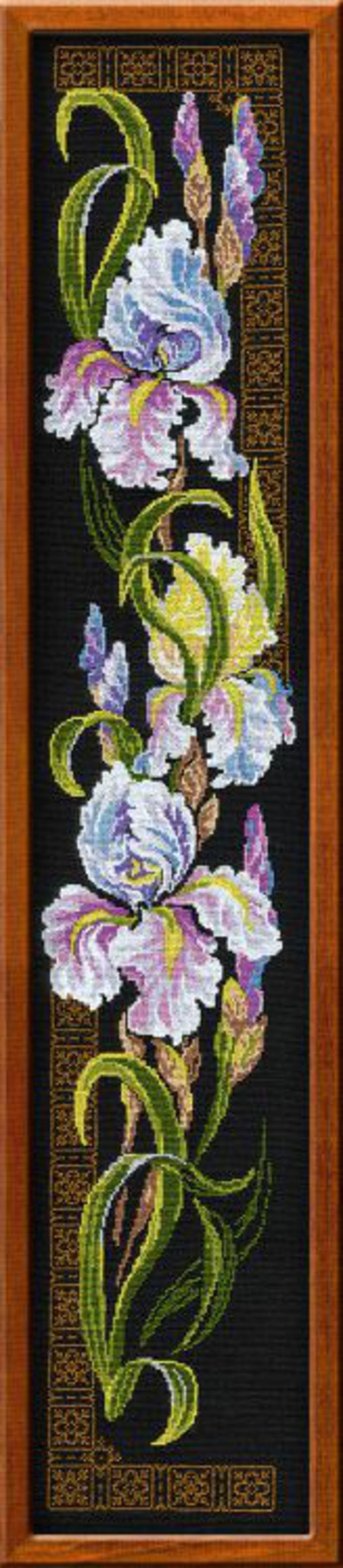 Bild Iris
