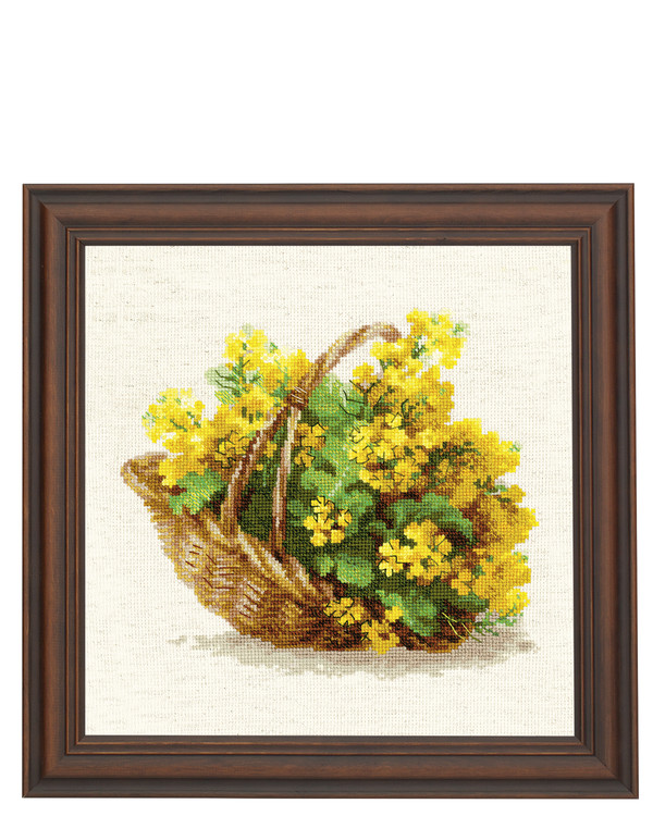 Billede Rapsblomster