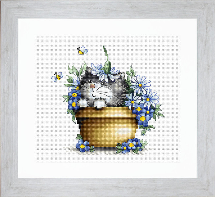 Bild Katze im Blumentopf