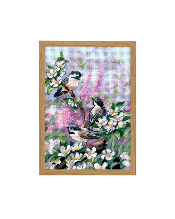 Bild Vogelgesang