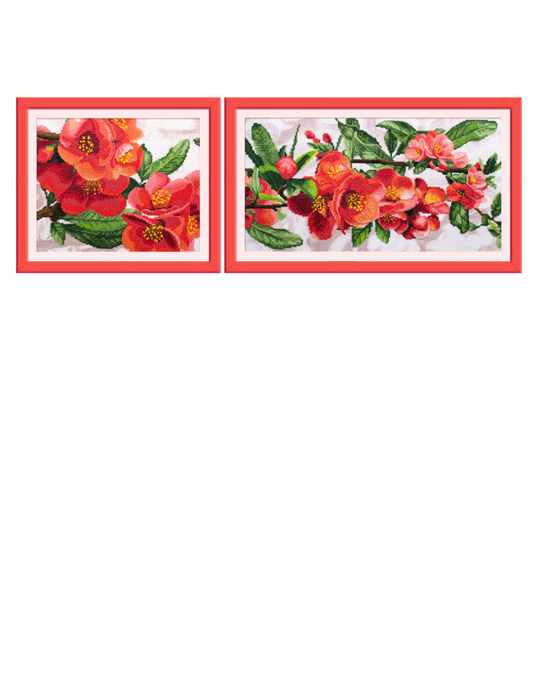 Bilde Granatepletre 2-pk