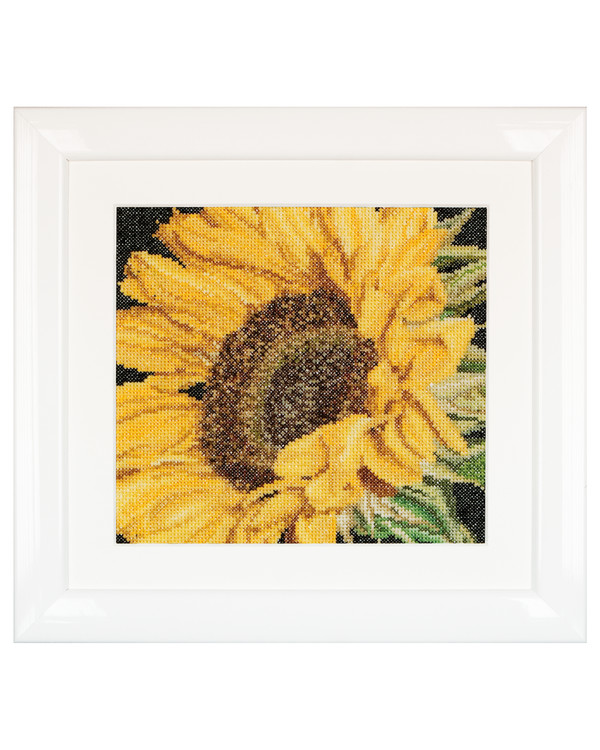 Bild Sonnenblume