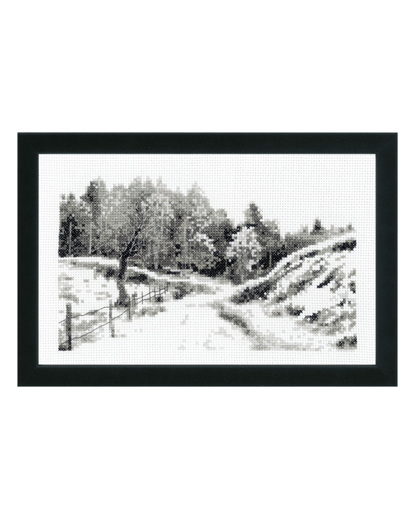 Bild Im Wald