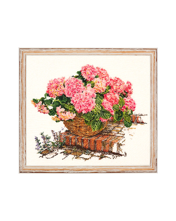 Bilde Rosa hortensia