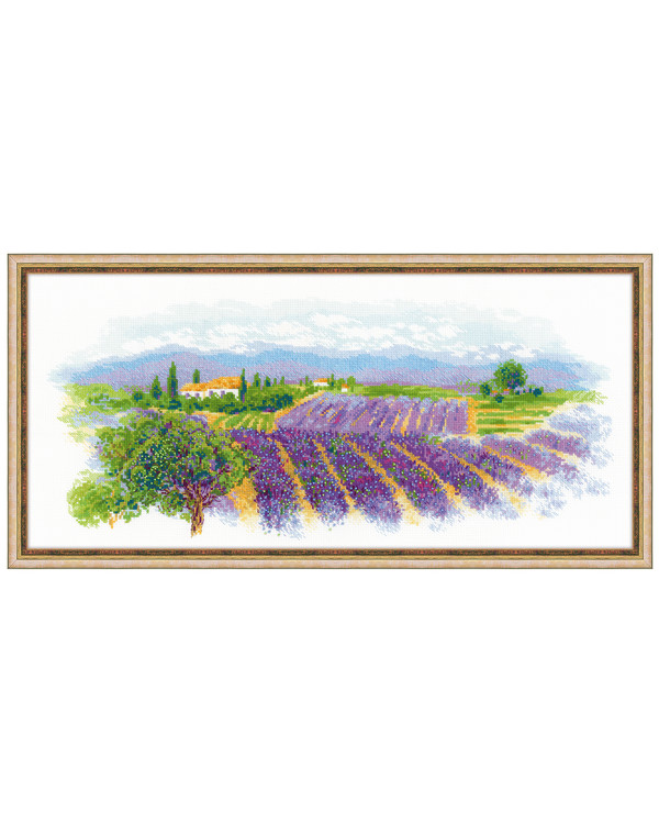 Bilde Lavendel i Provence