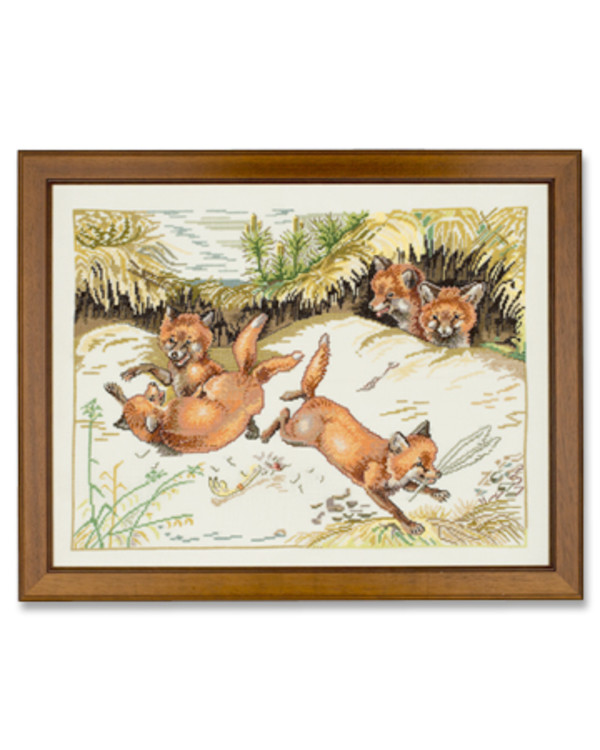 Bild Fuchsfamilie