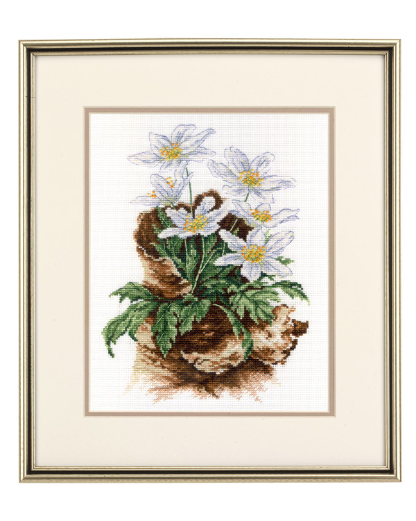 Bilde Vårblomster