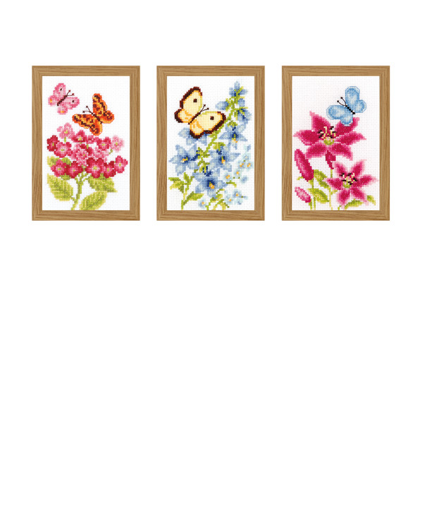 Bilder Sommerblomster 3-pk