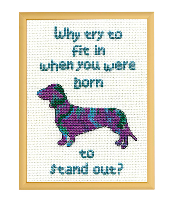 Bild Stand out dog