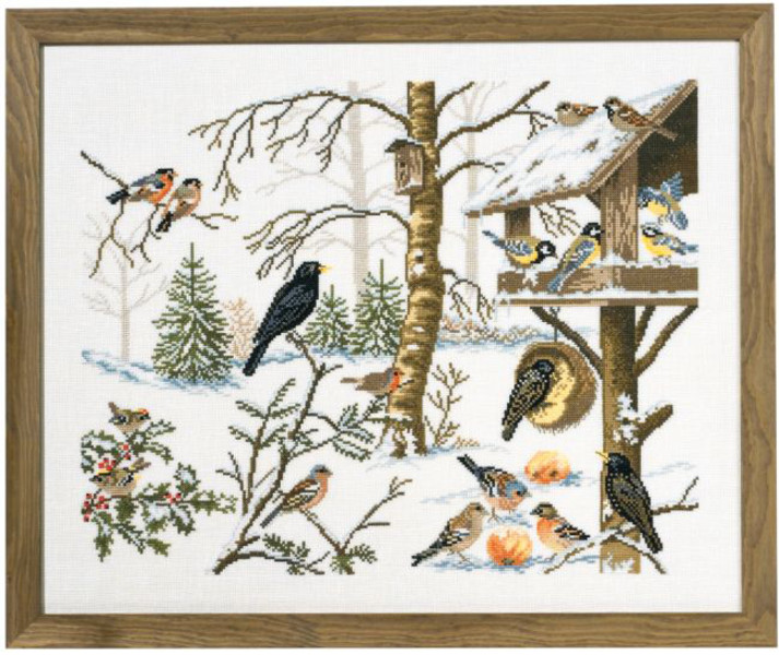 Bild Wintervögel