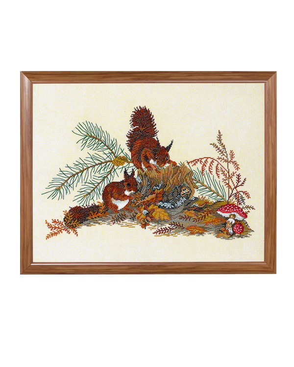 Bild Eichhörnchen