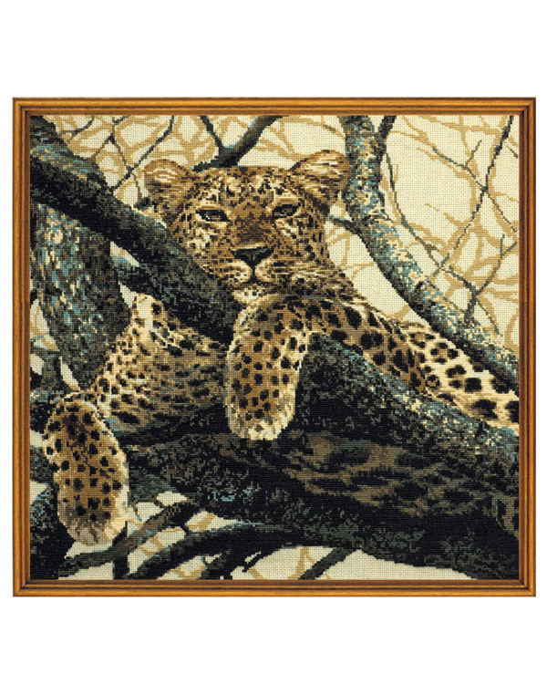 Bild Leopard