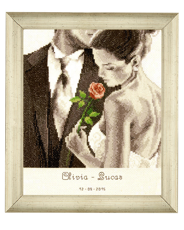 Bild Die Rose