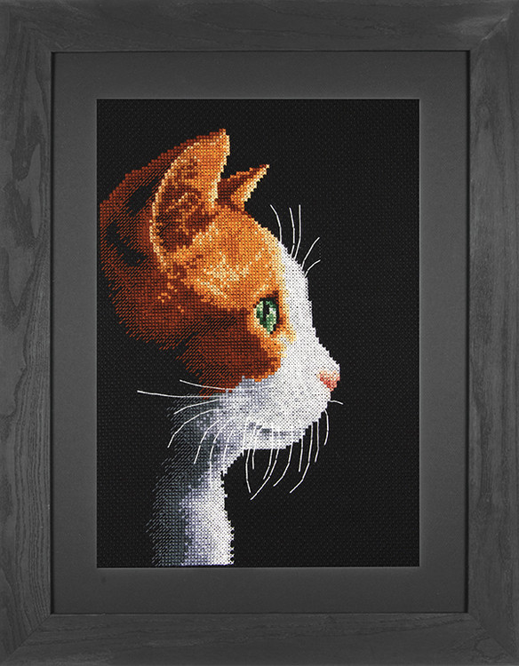 Bild Katze im Profil