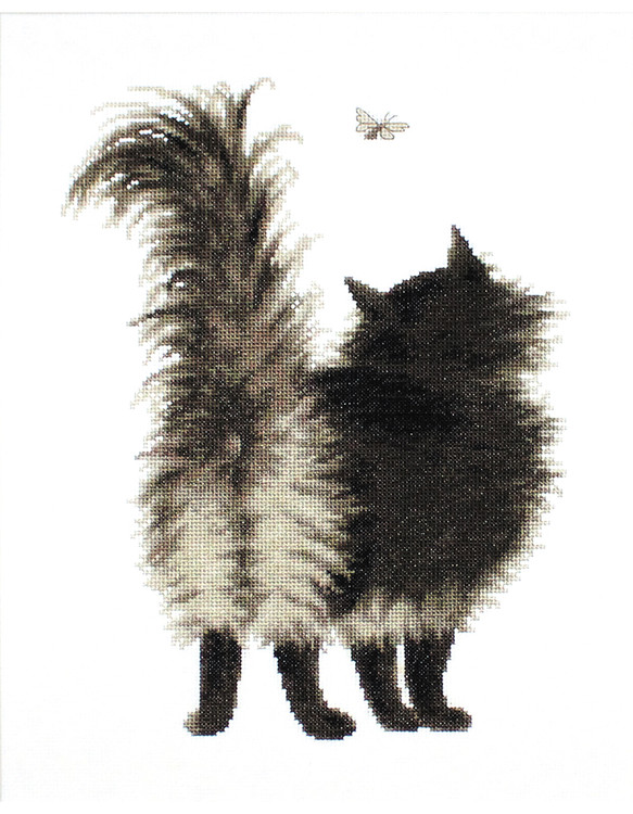 Bild Katzen und Schmetterling