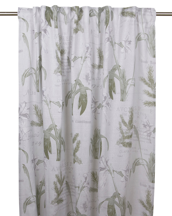 Multibandslængder Amaryllis Hvid/rød