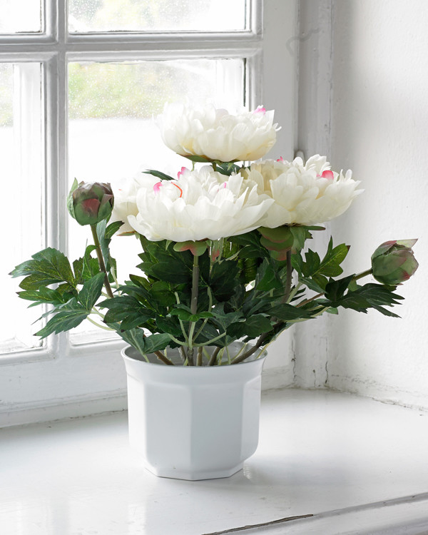 Konstväxt Pion 35 cm
