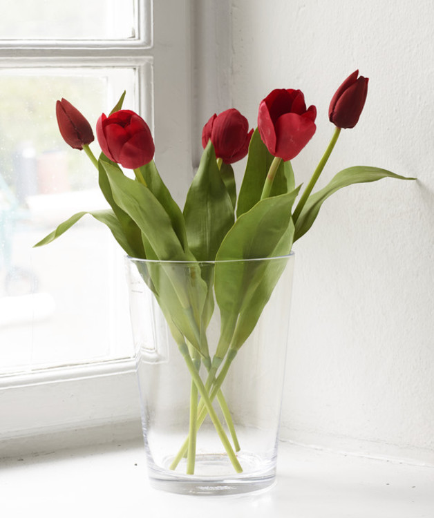 Koristekukat Tulppaanit 5/pak