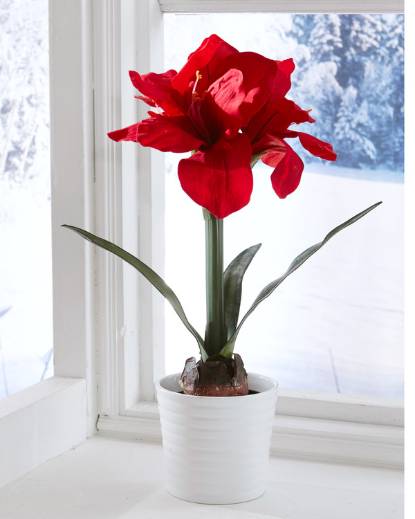 Konstväxt Amaryllis 45cm