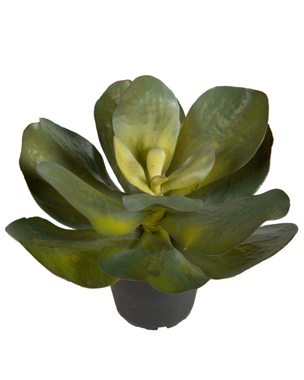Konstväxt Succulent 22 cm