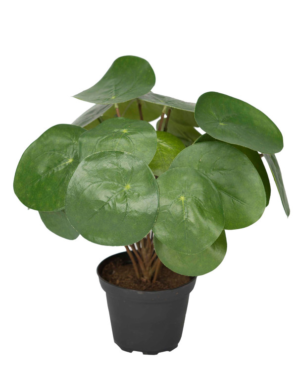 Kunstig Elefantøre 25 cm