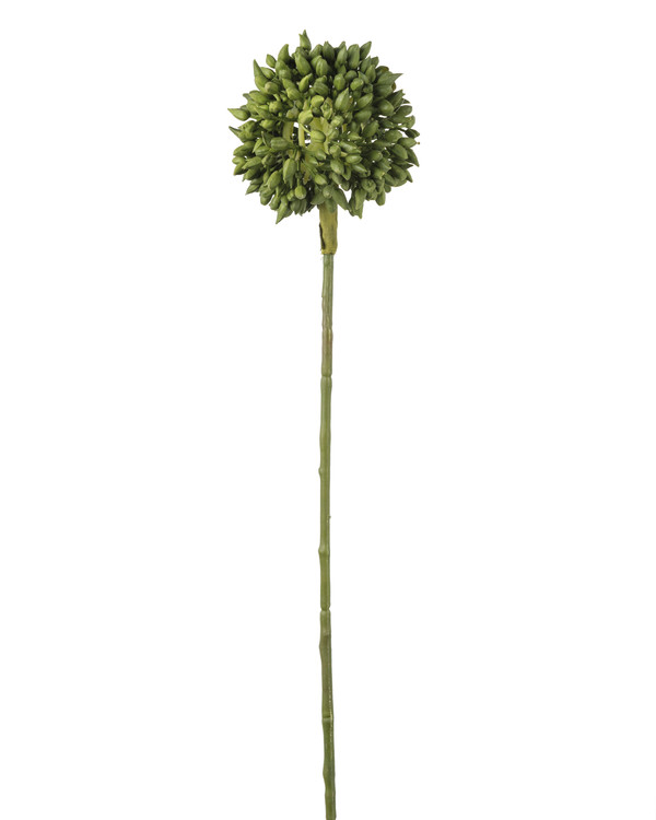 Konstväxt Alliumkvist 45 cm